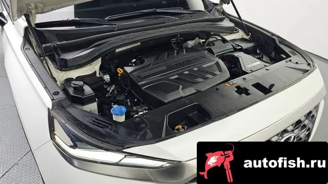 Hyundai Santafe San Tafe TM 2018 года - вид 6