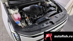 Миниатюра 6