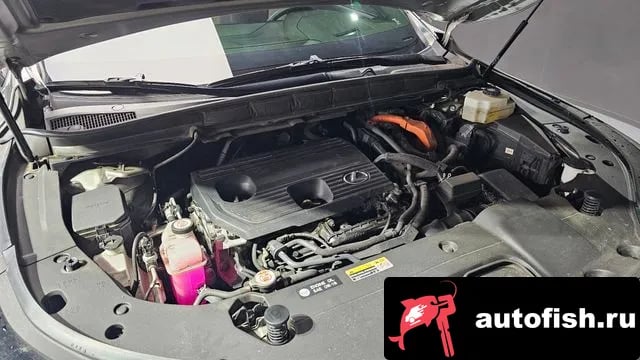 Lexus RX RX350h 5th generation 2023 года - вид 6