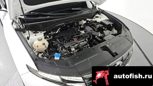 Hyundai Tucson Tucson (NX4) 2023 года - вид 6