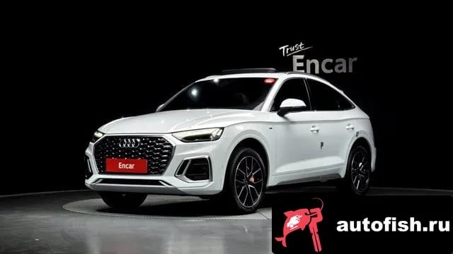 Audi Q5 Q5 (FY) 2022 года - вид 1