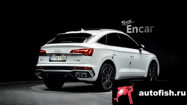 Audi Q5 Q5 (FY) 2022 года - вид 2
