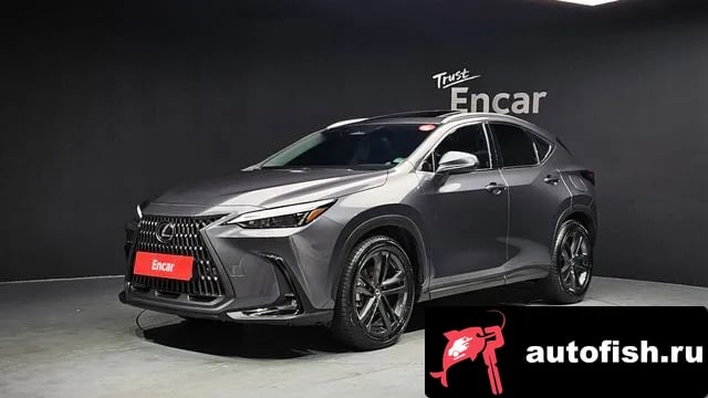 Lexus NX NX350h Second generation 2024 года - автомобиль из Южной Кореи