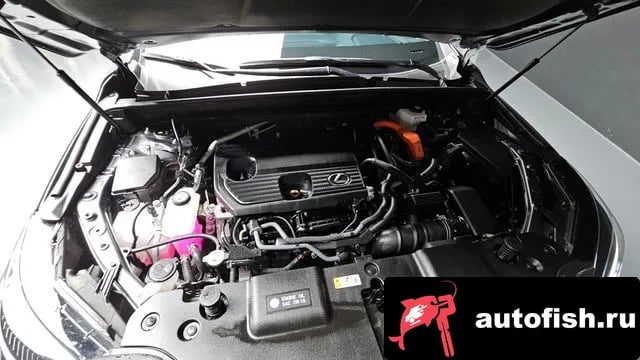 Lexus NX NX350h Second generation 2024 года - вид 6