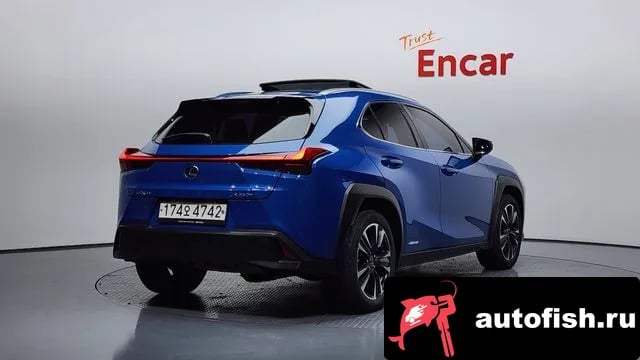 Lexus UX UX250h 2021 года - похожие автомобили