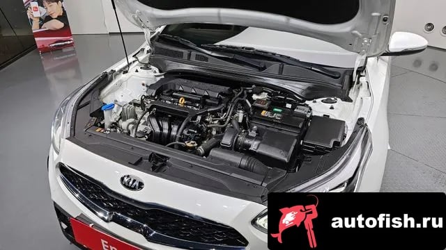 Kia K3 Come New K3 2020 года - вид 6