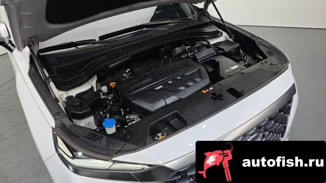 Hyundai Santafe San Tafe TM 2018 года - вид 6