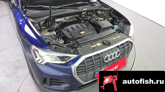 Audi Q3 Q3 (F3) 2022 года - вид 6