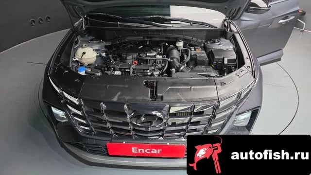 Hyundai Tucson Tucson (NX4) 2023 года - вид 6