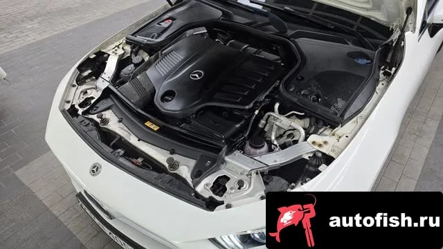 Mercedes-Benz CLS-Class CLS-Class C257 2019 года - вид 6