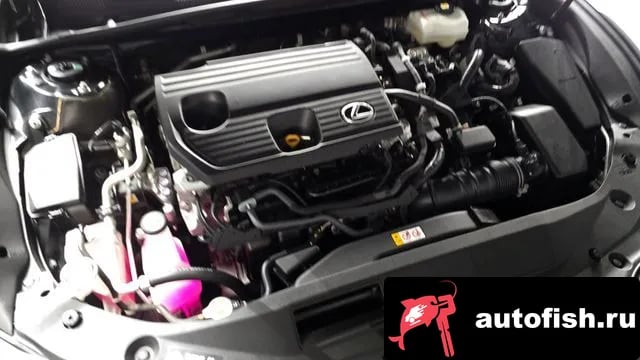 Lexus ES ES300h 7th generation 2023 года - вид 6