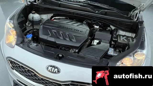 Kia Sportage Sportage The Bold 2019 года - вид 6