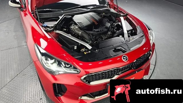 Kia Stinger Stinger 2019 года - вид 6