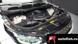 Миниатюра 6