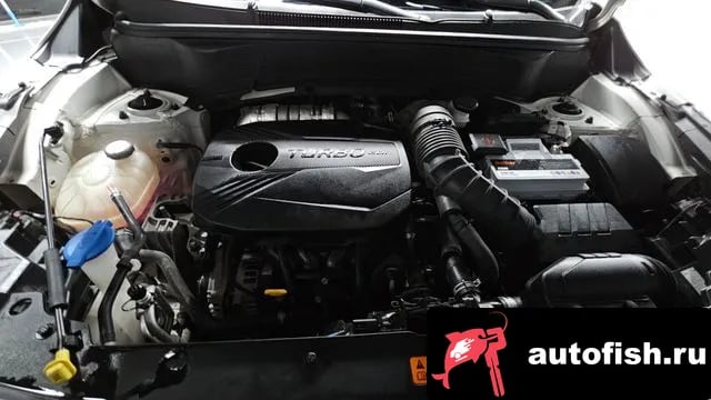 Kia Seltos Celtos 2022 года - вид 6