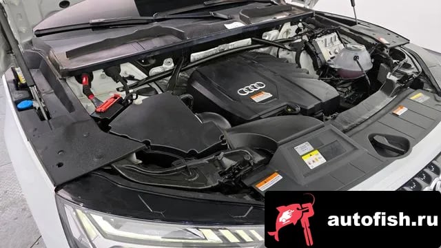 Audi Q5 Q5 (FY) 2022 года - вид 6