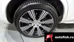 Миниатюра 5