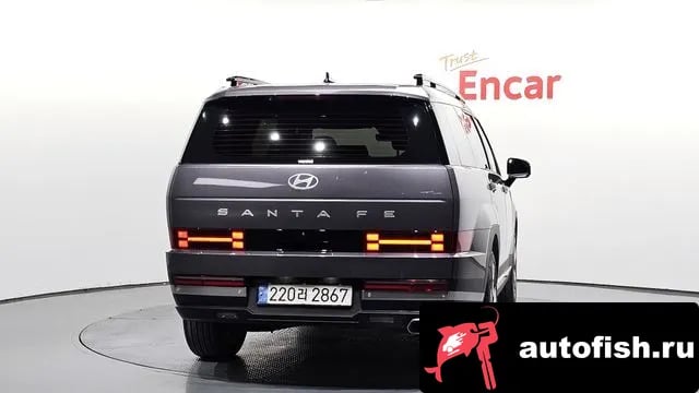 Hyundai Santafe San Tafe (MX5) 2024 года - вид 4