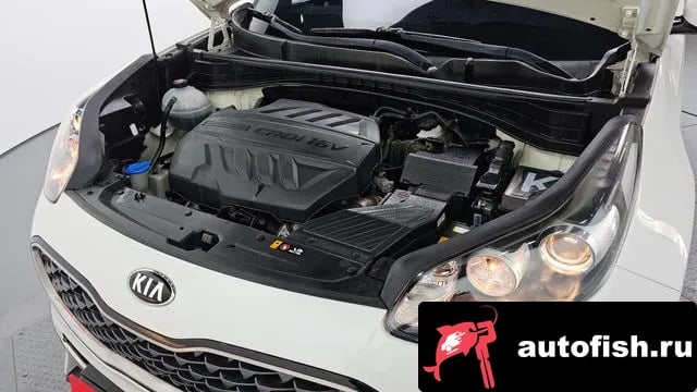 Kia Sportage Sportage The Bold 2019 года - вид 6