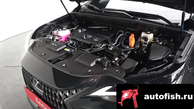 Lexus NX NX350h Second generation 2024 года - вид 5