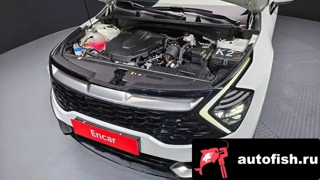 Kia Sportage Sportage 5th Generation 2023 года - вид 6