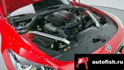 Миниатюра 6