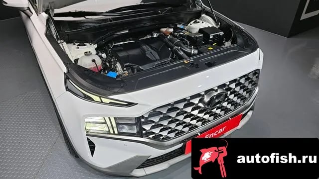 Hyundai Santafe The New San Tafe 2023 года - похожие автомобили