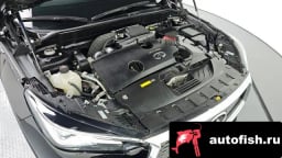 Миниатюра 6