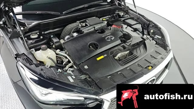 Infiniti QX50 QX50 (P71A) 2019 года - вид 6