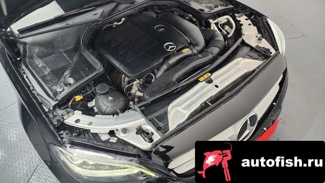 Mercedes-Benz C-Class C-Class W205 2019 года - вид 6