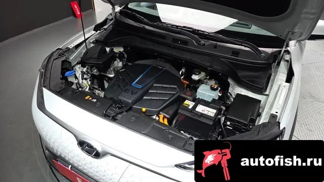 Hyundai Kona Kona Electric 2020 года - вид 6