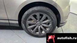 Миниатюра 4