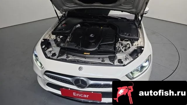 Mercedes-Benz CLS-Class CLS-Class C257 2019 года - вид 6