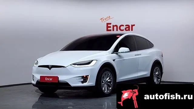 Tesla Model X Model X 2019 года - автомобиль из Южной Кореи