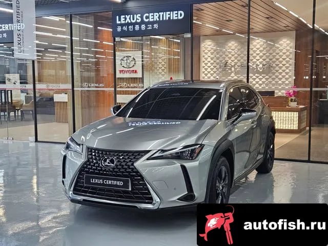 Lexus UX UX300h 2024 года - автомобиль из Южной Кореи