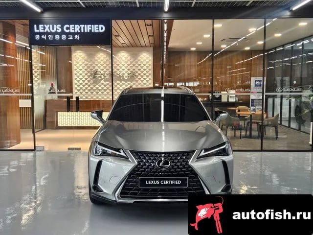 Lexus UX UX300h 2024 года - вид 3