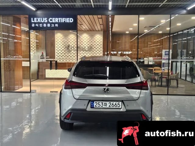 Lexus UX UX300h 2024 года - вид 4