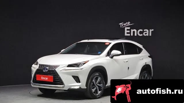 Lexus NX NX300h 2018 года - автомобиль из Южной Кореи