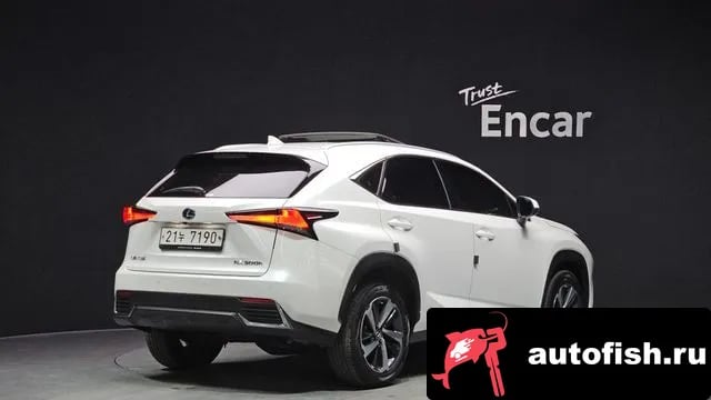 Lexus NX NX300h 2018 года - вид 2