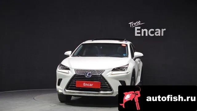 Lexus NX NX300h 2018 года - вид 3