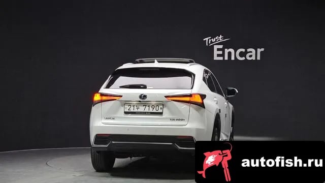 Lexus NX NX300h 2018 года - вид 4