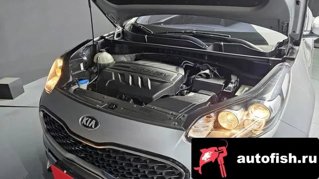 Kia Sportage Sportage The Bold 2019 года - вид 6