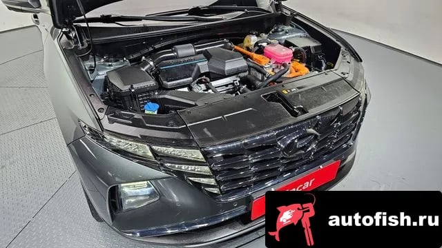 Hyundai Tucson Tucson Hybrid (NX4) 2021 года - вид 6