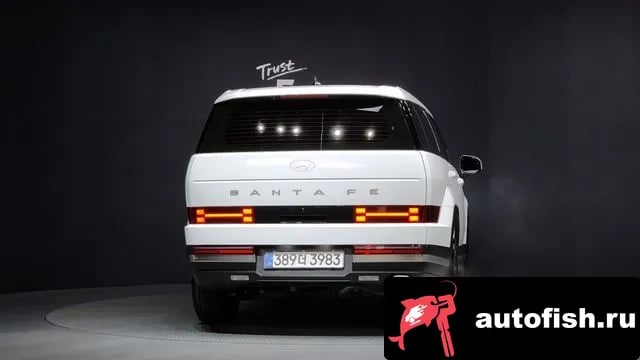 Hyundai Santafe San Tafe (MX5) 2025 года - вид 4