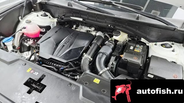 Hyundai Santafe San Tafe (MX5) 2025 года - вид 6