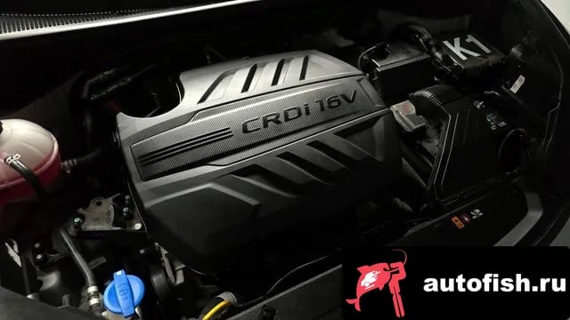 Kia Sportage Sportage The Bold 2020 года - вид 6