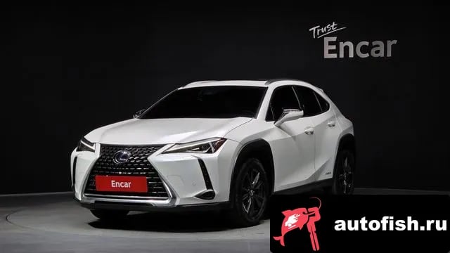 Lexus UX UX250h 2020 года - вид 1