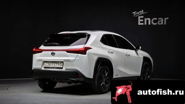 Lexus UX UX250h 2020 года - вид 2