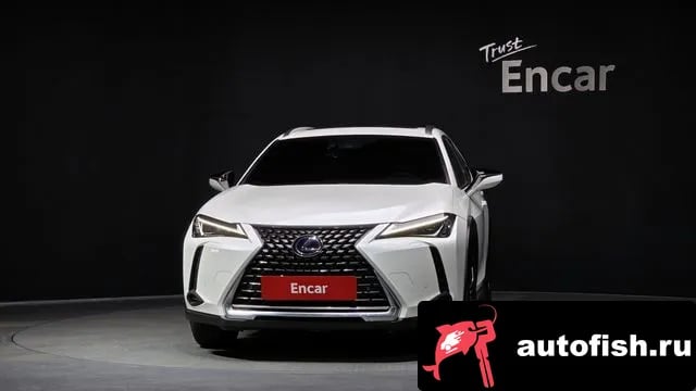 Lexus UX UX250h 2020 года - вид 3