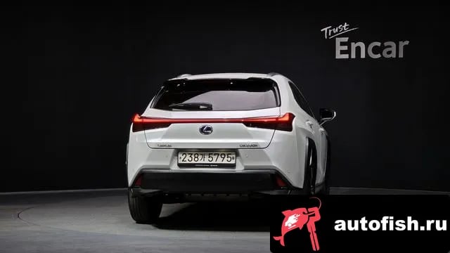 Lexus UX UX250h 2020 года - вид 4